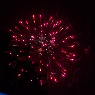 DSC_4810.jpg