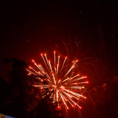 DSC_4830.jpg