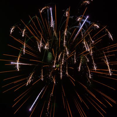 DSC_4841.jpg
