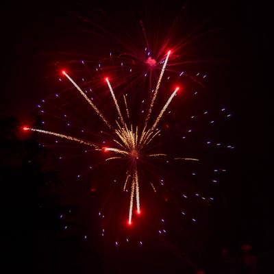 DSC_4863.jpg