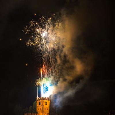 DSC_1333.jpg