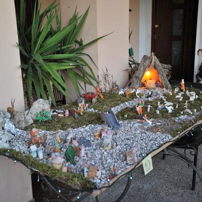 DSC_0439 (Custom).JPG