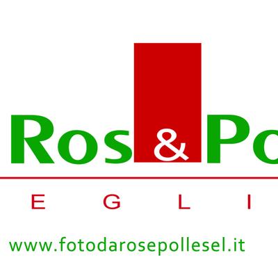 Logo Foto Da Ros & Pollesel