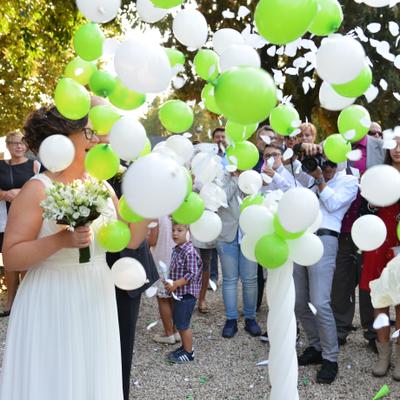 DSC_5500.JPG