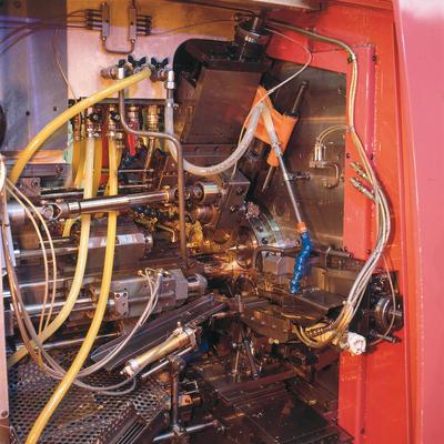 Plurimandrino interno 1.jpg