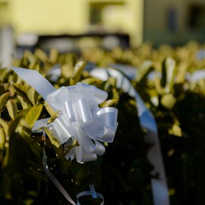 DSC_4423.jpg