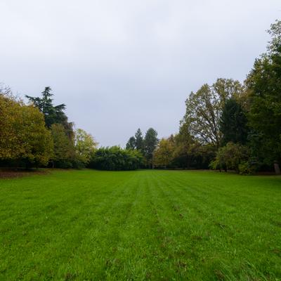 DSC_8156.jpg