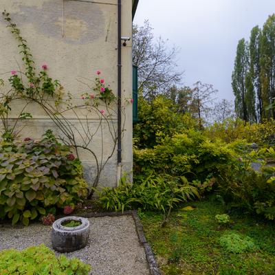 DSC_8185.jpg