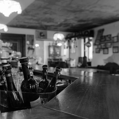 DSC_8755-2.jpg