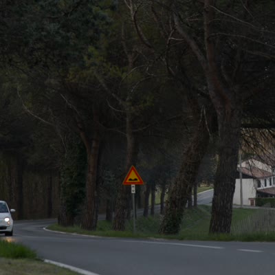 DSC_5693.MOV