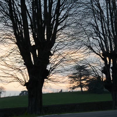 DSC_5711.MOV