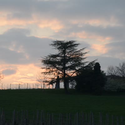 DSC_5714.MOV