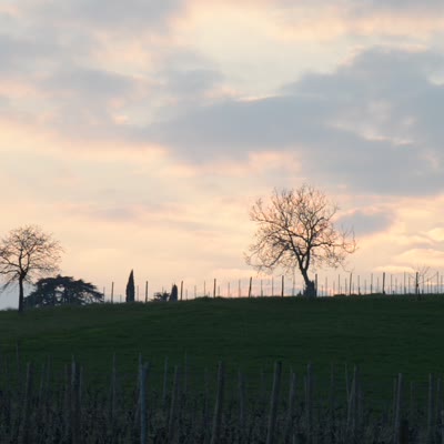 DSC_5715.MOV