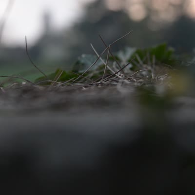 DSC_5716.MOV