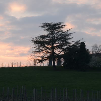 DSC_5721.MOV
