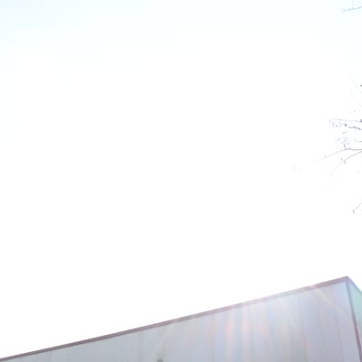 DSC_5511.MOV