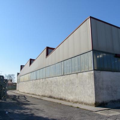 DSC_5525.jpg