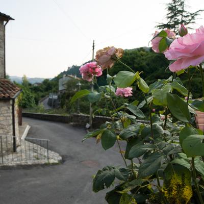 VillaDanieleNacci-10.jpg