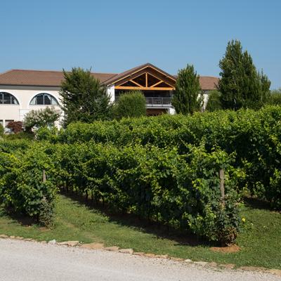 VillaLuisaFrancesca-17.jpg