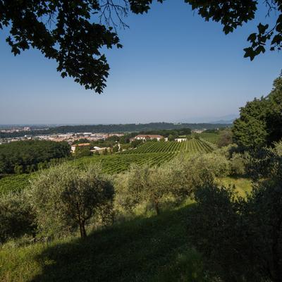 VillaLuisaFrancesca-30.jpg