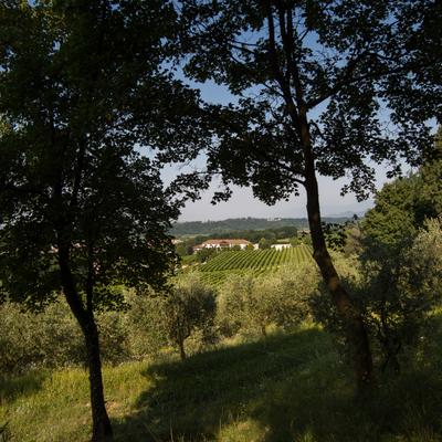VillaLuisaFrancesca-31.jpg