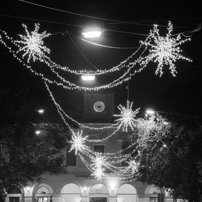 DSC_2635.jpg