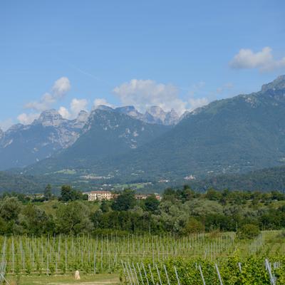 Foto-37.jpg