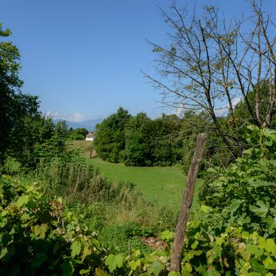 Foto-49.jpg