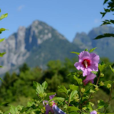 Foto-60.jpg