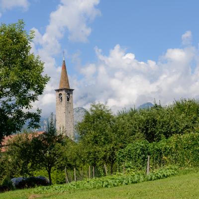 Foto-66.jpg