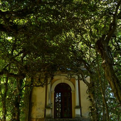 villa pagani 17 salotto.jpg