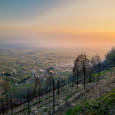DSCF8693-HDR.jpg