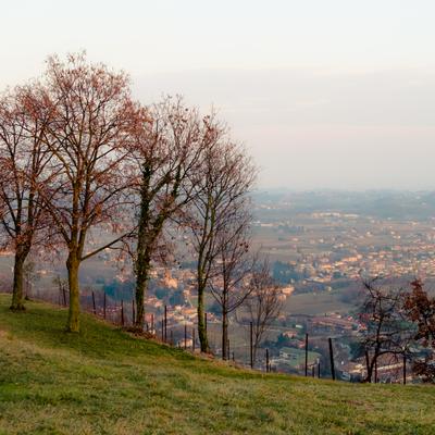 DSCF8696-HDR-2.jpg