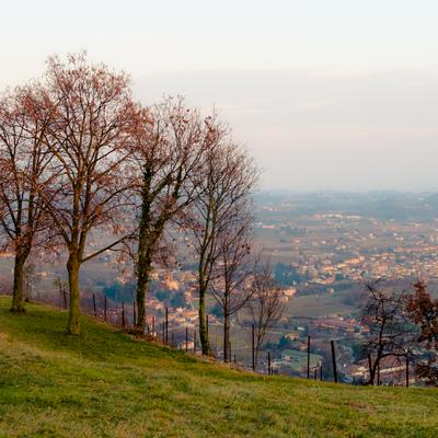 DSCF8696-HDR.jpg