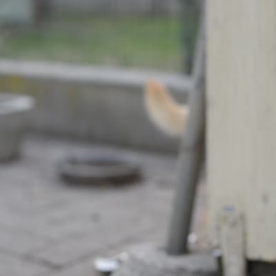 senza titolo-18.MOV