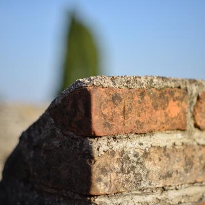 DSC_6249.JPG