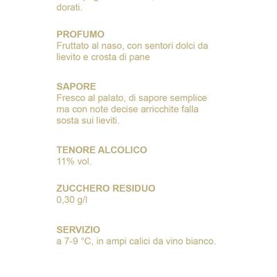 Pagina 3 Rizolo.jpg