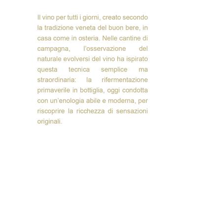 Pagina 6 Rizolo.jpg