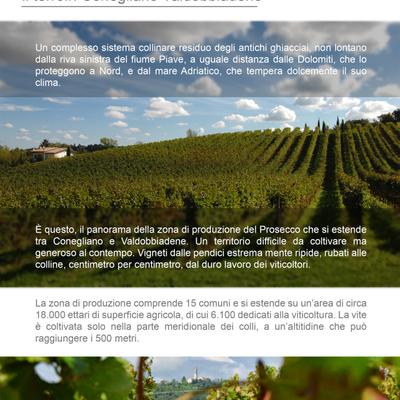 Il terroir.jpg