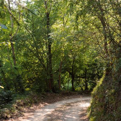 FotoVignetiSanMor-60.jpg