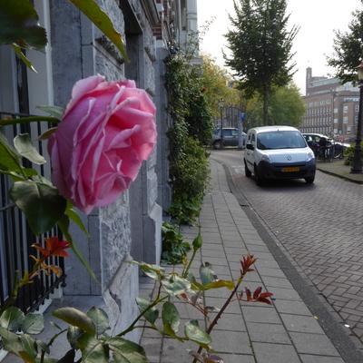 P1000014.JPG