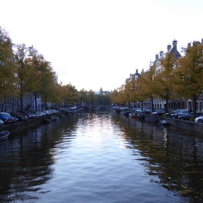 P1000175.JPG