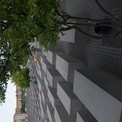 DSCN1010.jpg