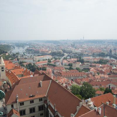 DSCN1478.jpg