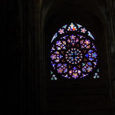 DSCN1542.jpg