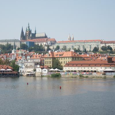 DSCN1616.jpg