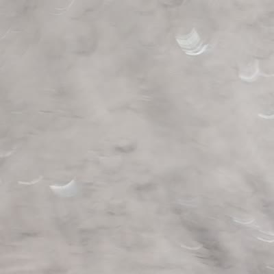 DSCN1291.MOV