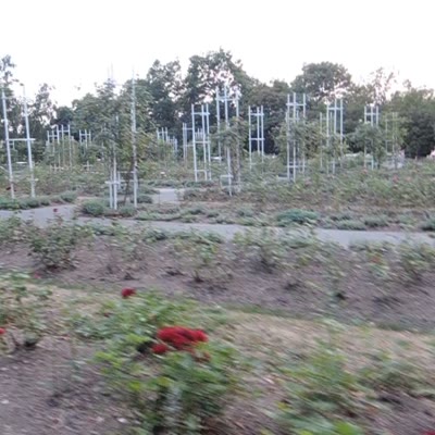 DSCN1709.MOV