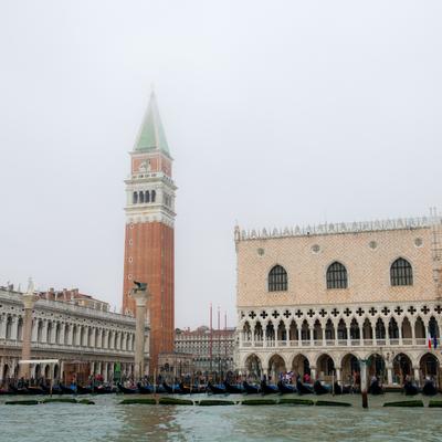 DSC_2224.jpg
