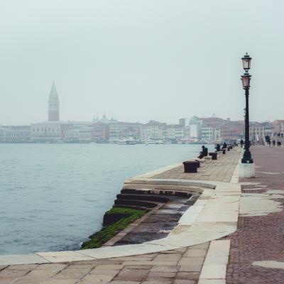 DSC_2420.jpg